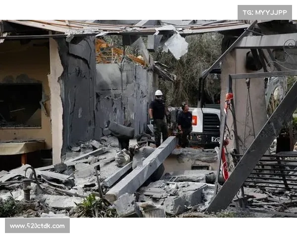 以色列遭遇魅力小猫攻击